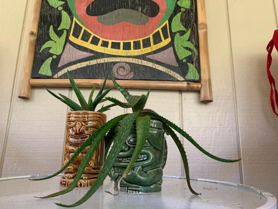 Hau'Oli Place Tiki Cottage In Volcano Dış mekan fotoğraf