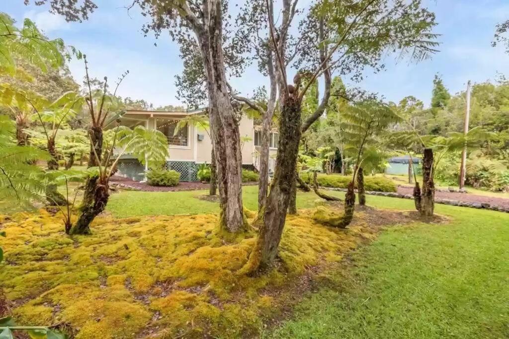 Hau'Oli Place Tiki Cottage In Volcano Dış mekan fotoğraf