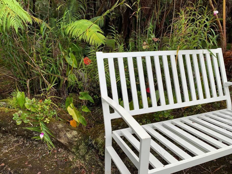 Hau'Oli Place Tiki Cottage In Volcano Dış mekan fotoğraf